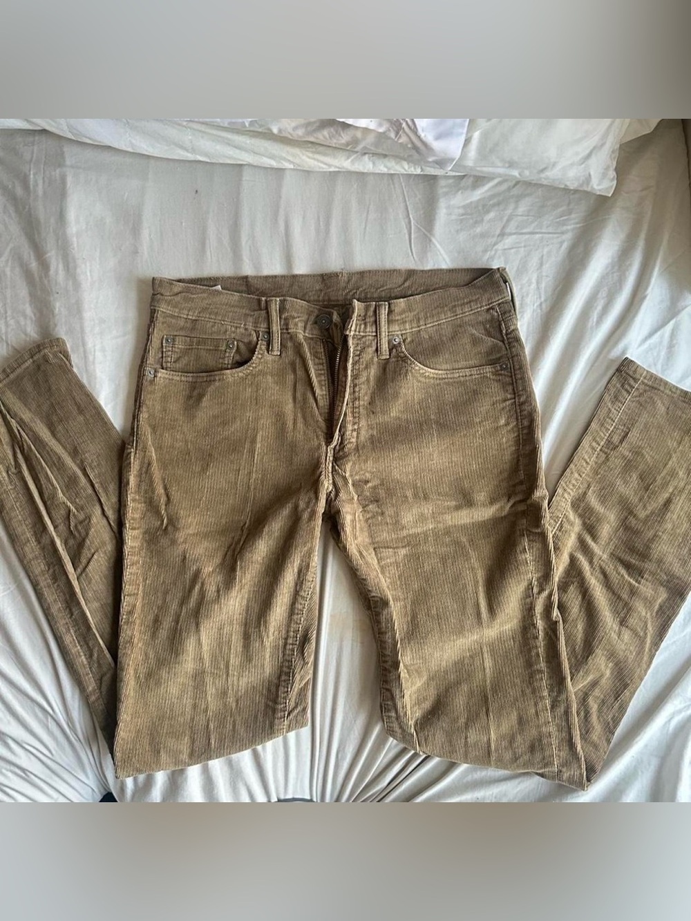 Men's Corduroy Pants in Brown